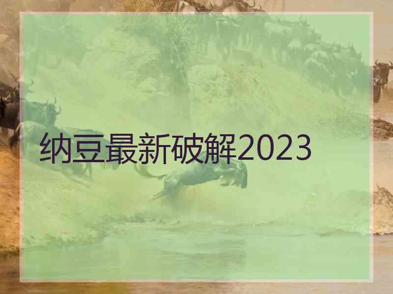 纳豆最新破解2023