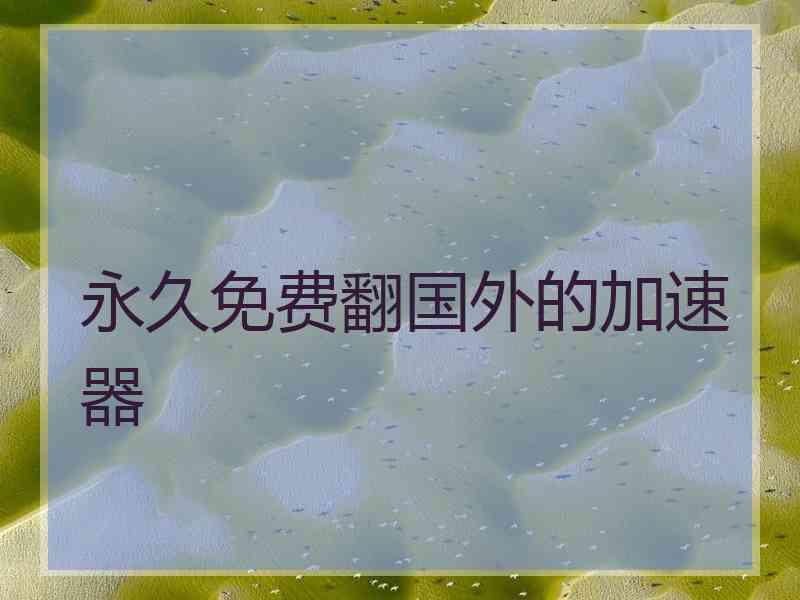 永久免费翻国外的加速器