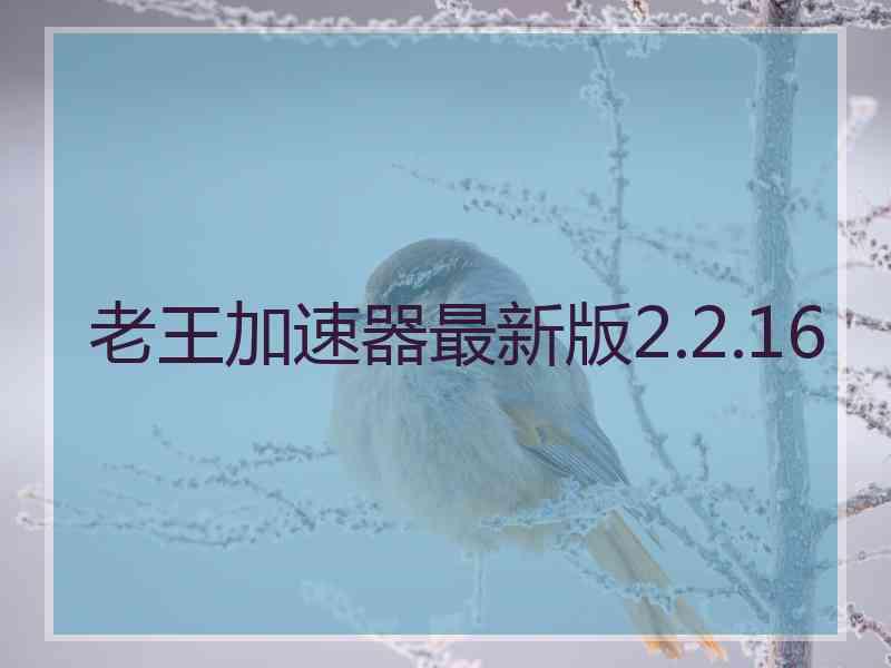 老王加速器最新版2.2.16