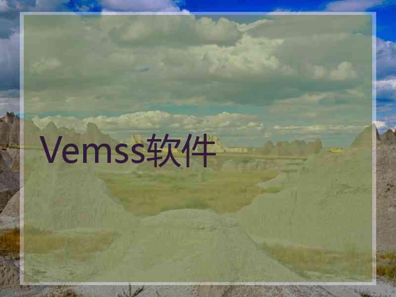 Vemss软件