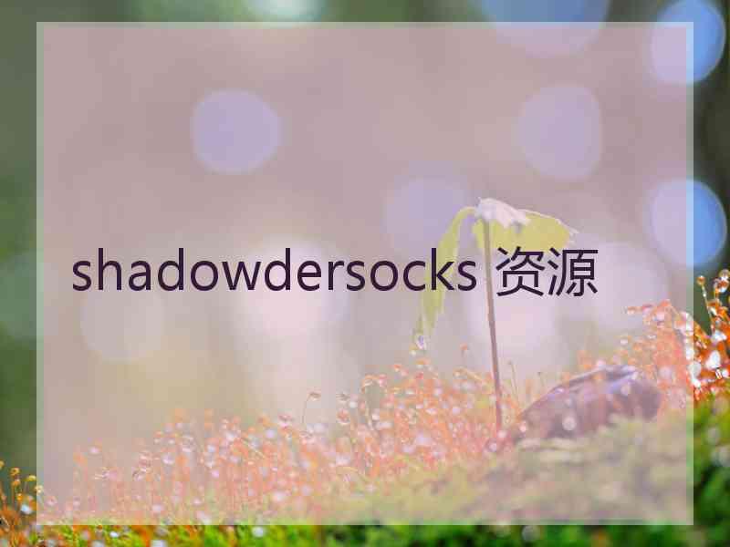 shadowdersocks 资源