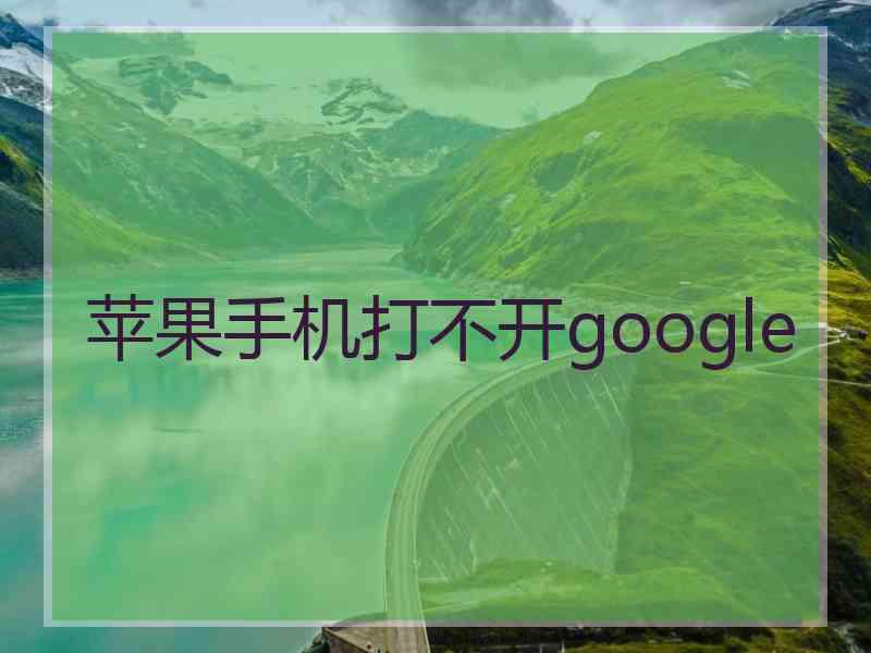 苹果手机打不开google