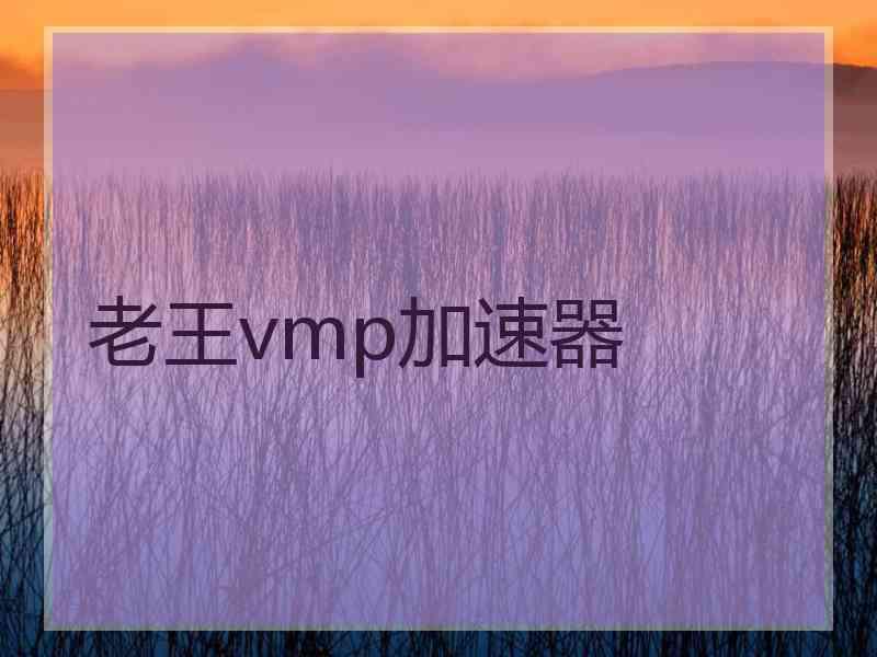 老王vmp加速器