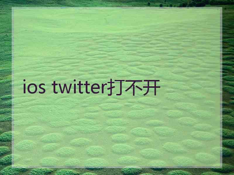 ios twitter打不开