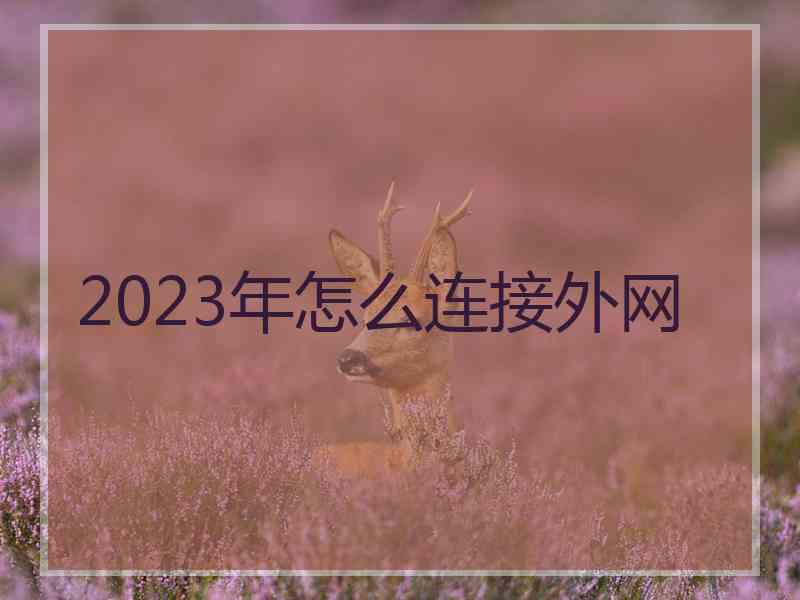 2023年怎么连接外网