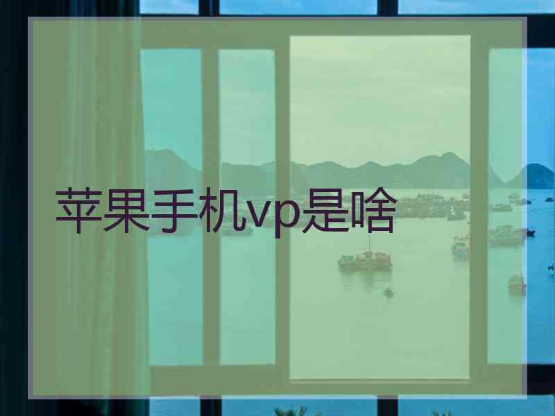 苹果手机vp是啥