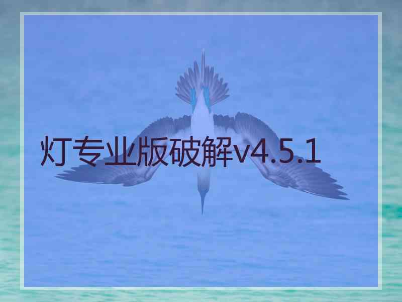 灯专业版破解v4.5.1