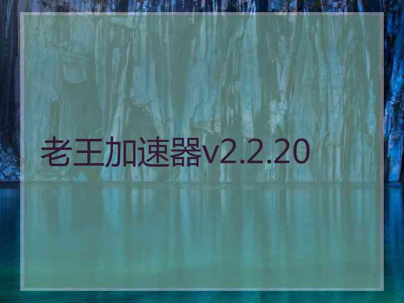 老王加速器v2.2.20