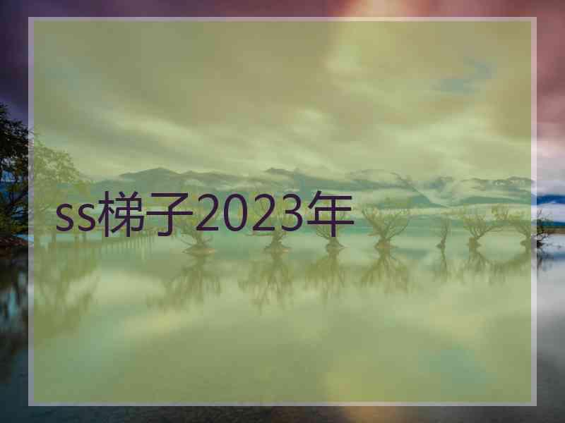 ss梯子2023年