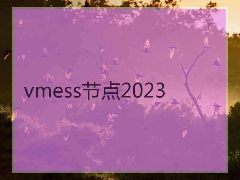 vmess节点2023