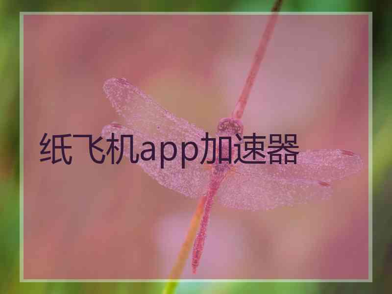 纸飞机app加速器