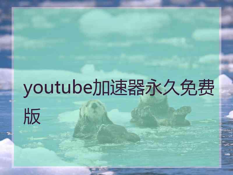 youtube加速器永久免费版