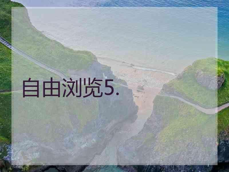 自由浏览5.