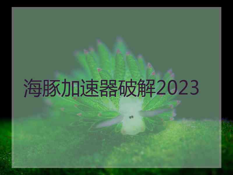 海豚加速器破解2023