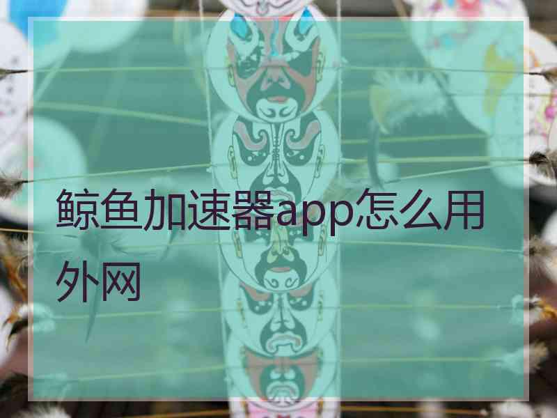 鲸鱼加速器app怎么用外网