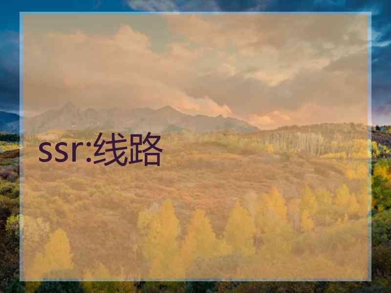 ssr:线路