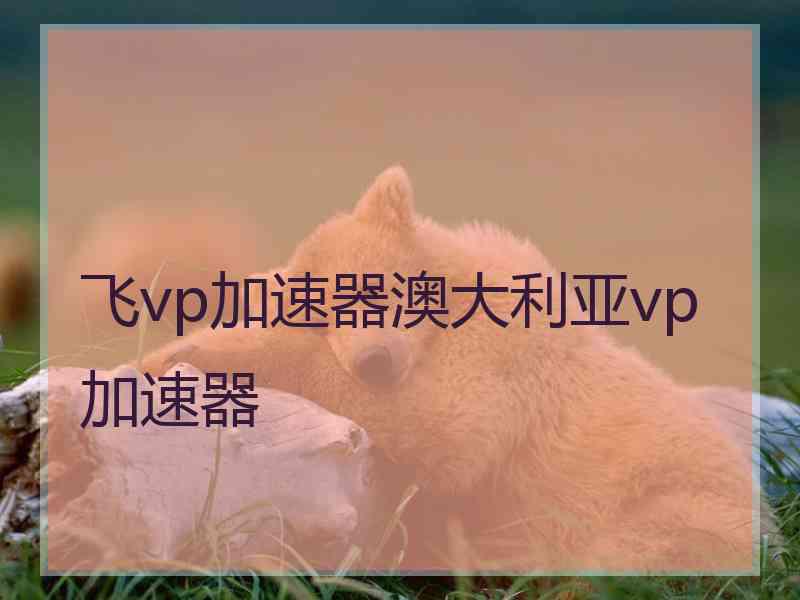 飞vp加速器澳大利亚vp加速器