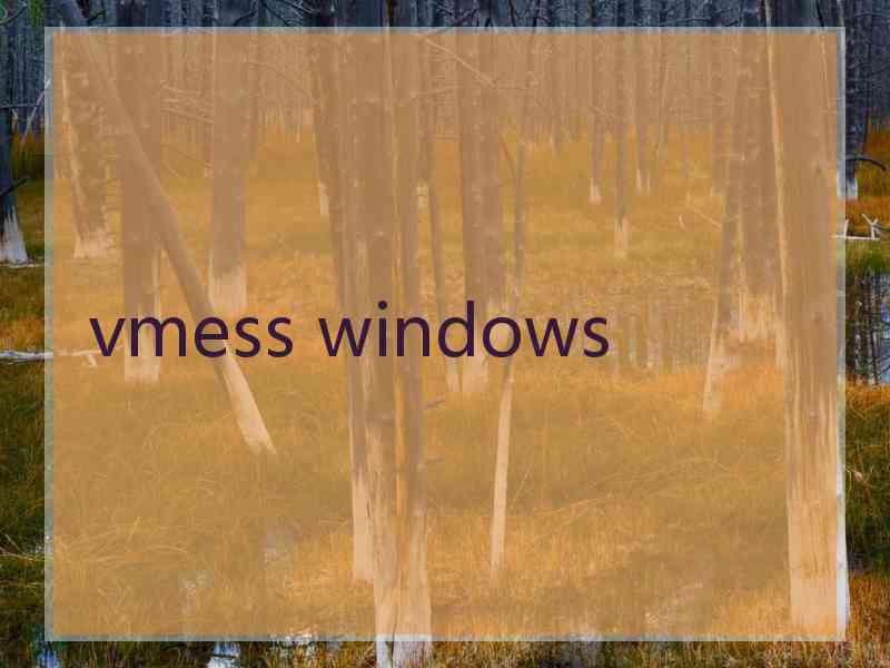 vmess windows