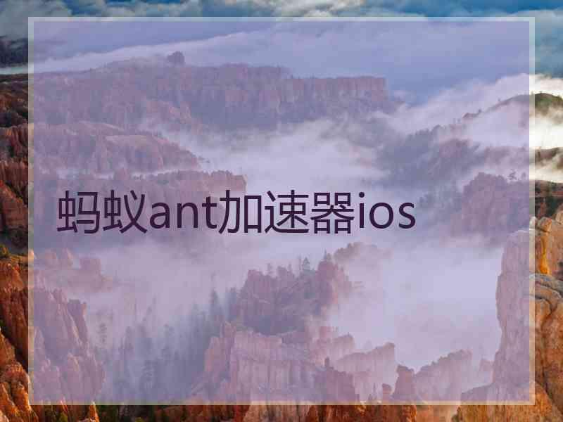 蚂蚁ant加速器ios