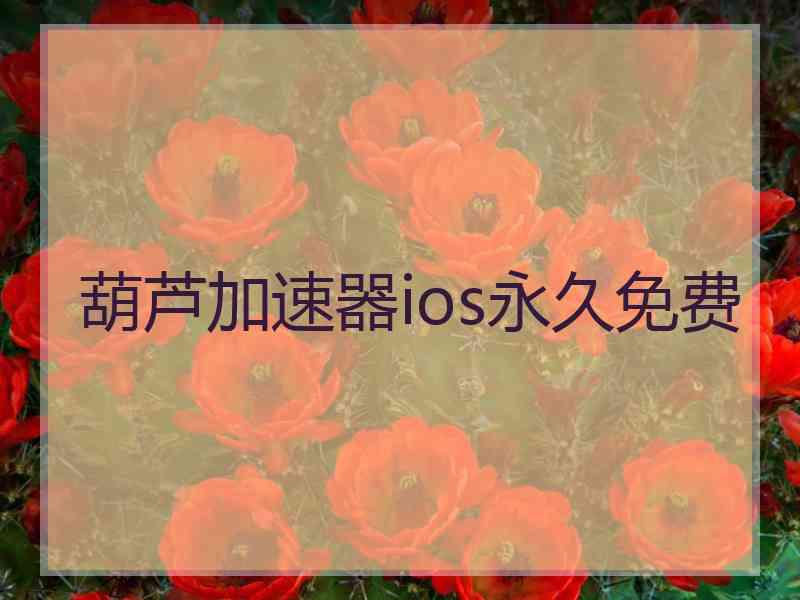 葫芦加速器ios永久免费