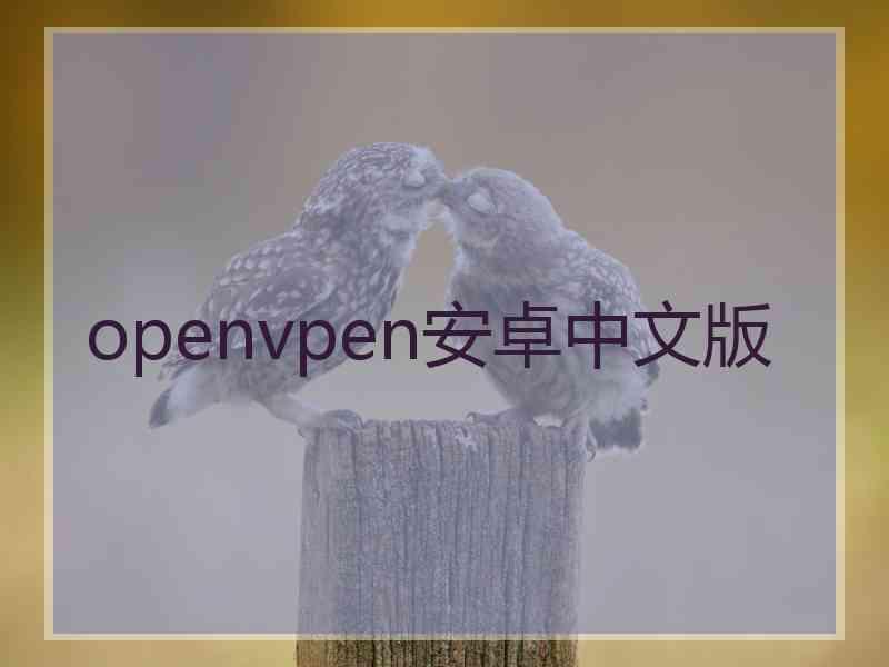 openvpen安卓中文版