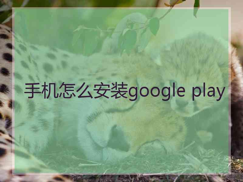 手机怎么安装google play