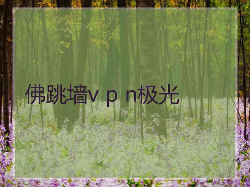 佛跳墙v p n极光