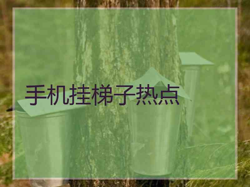 手机挂梯子热点