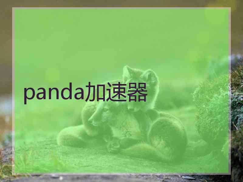 panda加速器