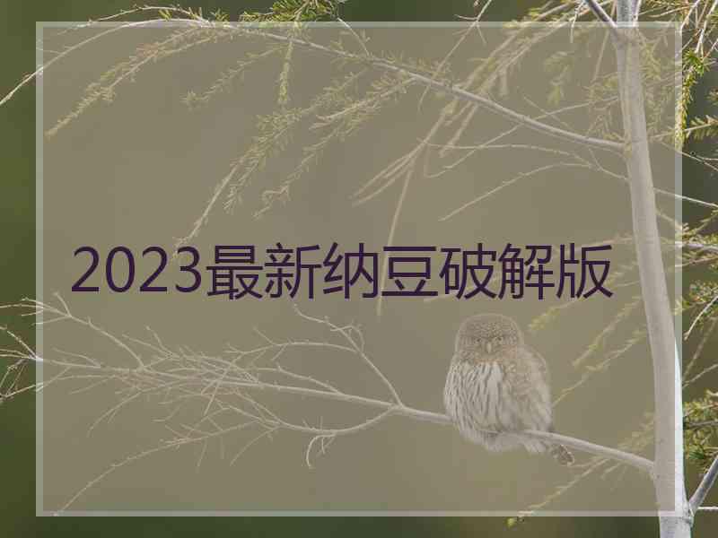 2023最新纳豆破解版