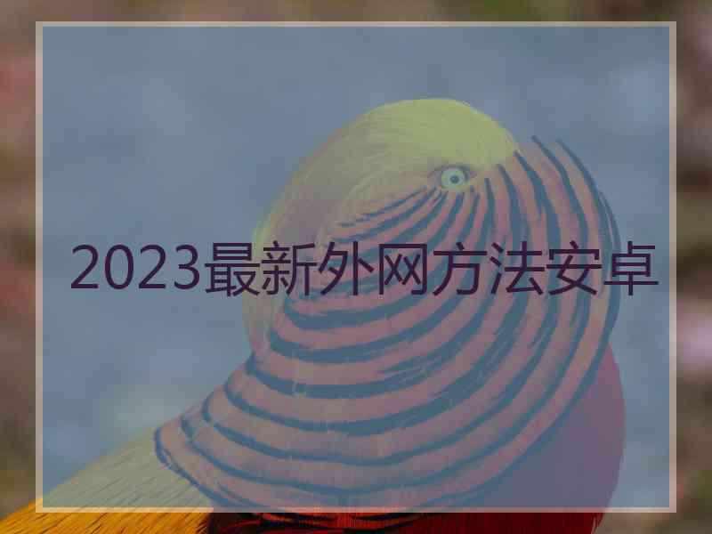 2023最新外网方法安卓