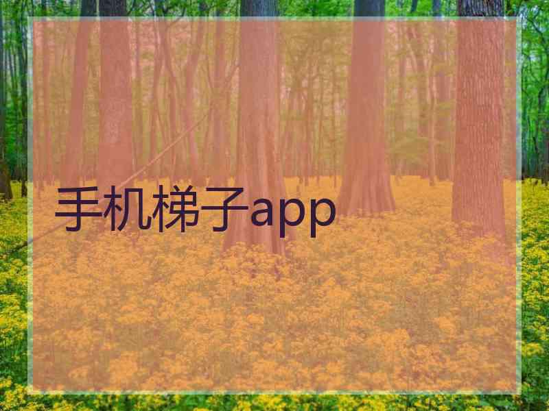 手机梯子app