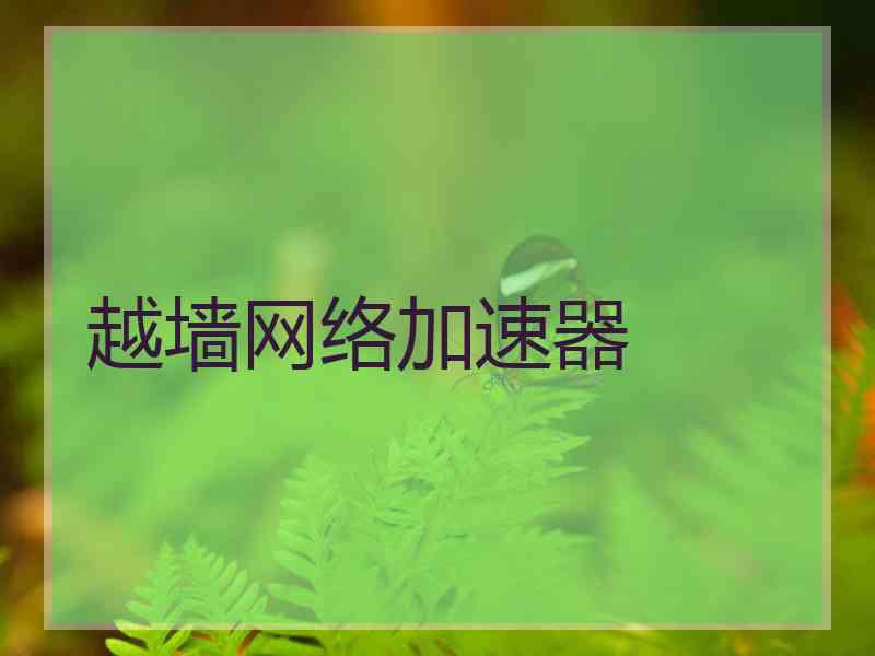 越墙网络加速器