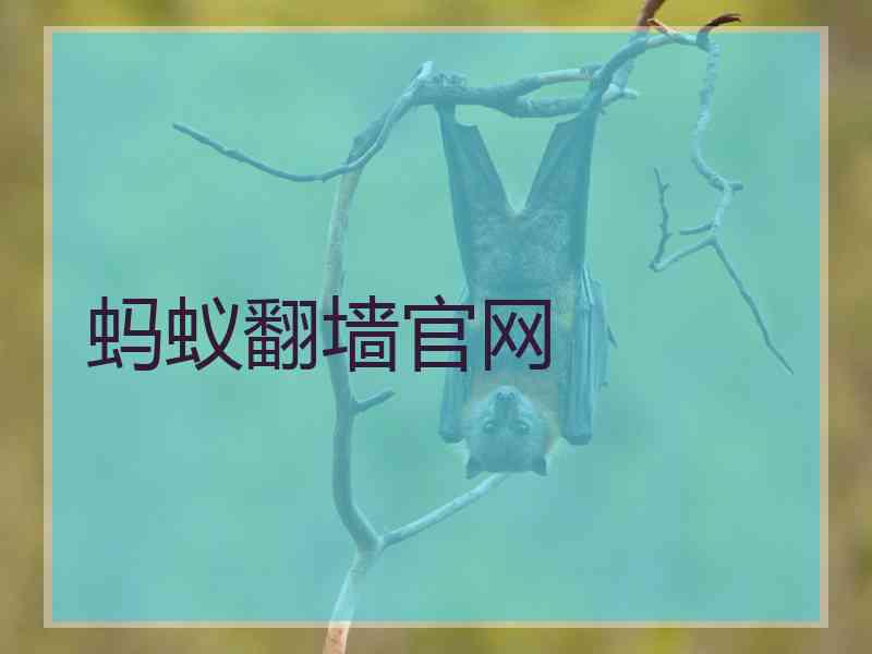 蚂蚁翻墙官网