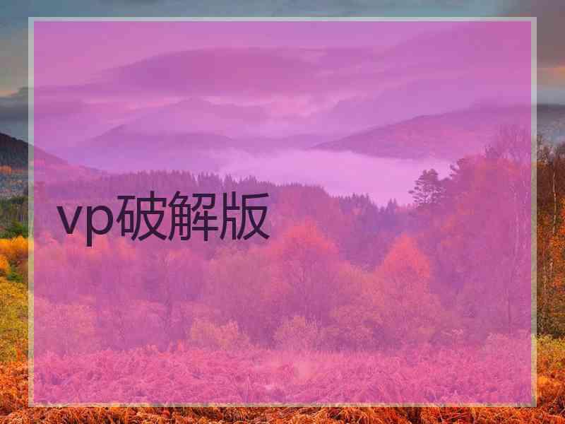 vp破解版