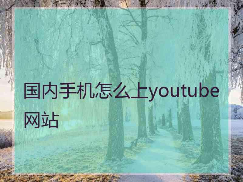 国内手机怎么上youtube网站