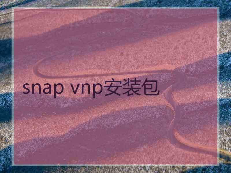 snap vnp安装包