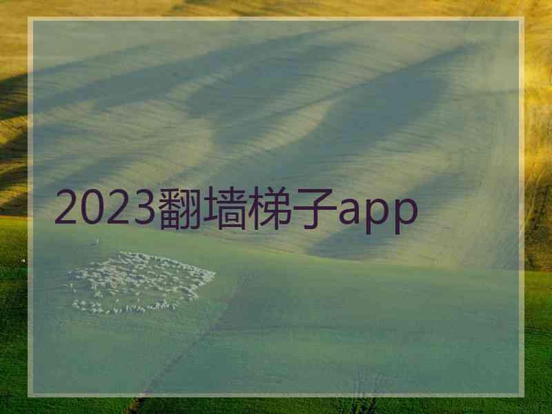 2023翻墙梯子app