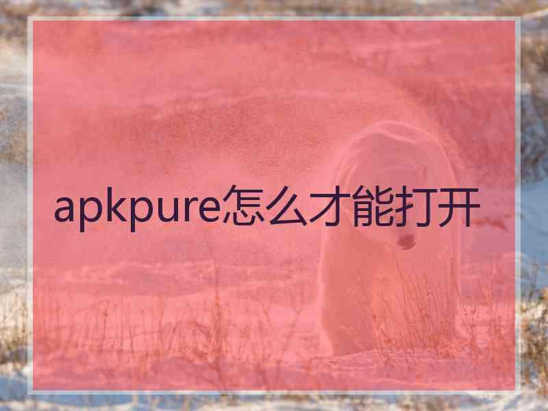 apkpure怎么才能打开