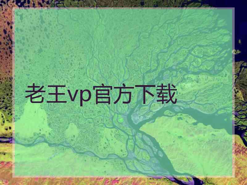 老王vp官方下载