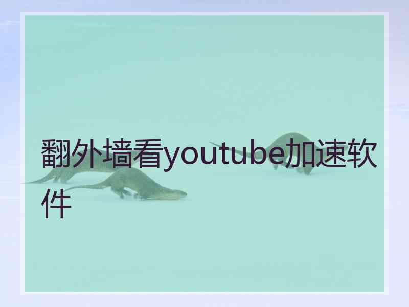 翻外墙看youtube加速软件