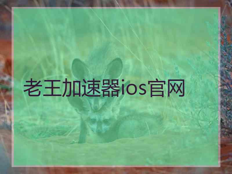 老王加速器ios官网