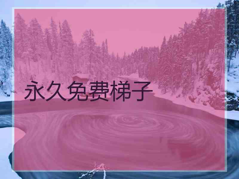 永久免费梯子