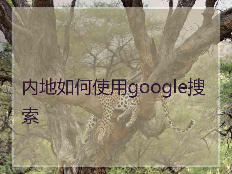 内地如何使用google搜索