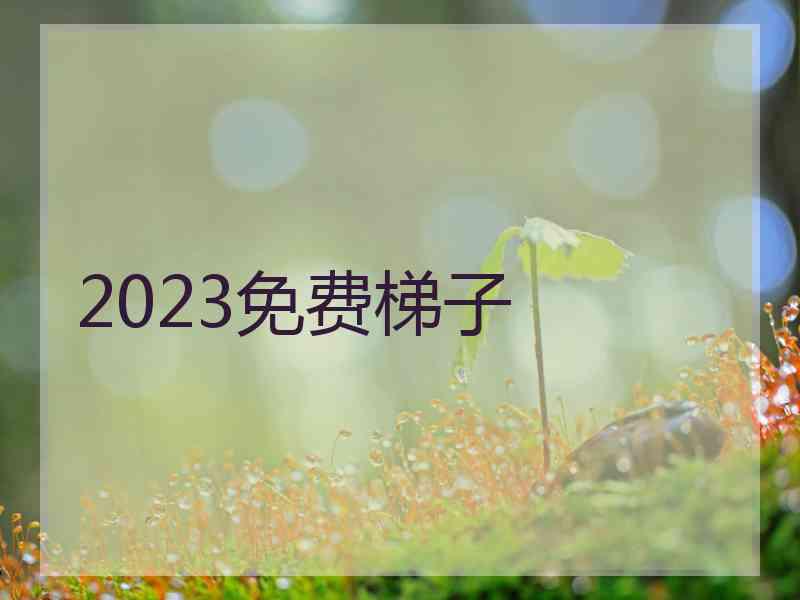 2023免费梯子