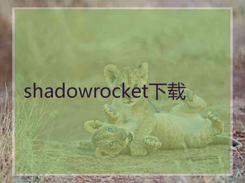 shadowrocket下载