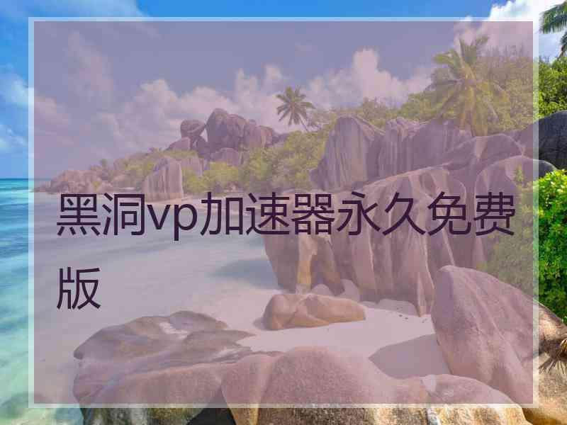 黑洞vp加速器永久免费版