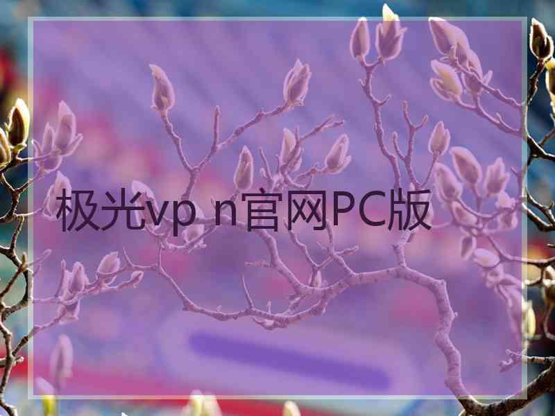 极光vp n官网PC版