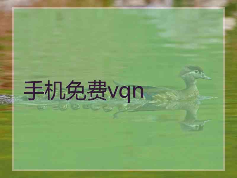 手机免费vqn