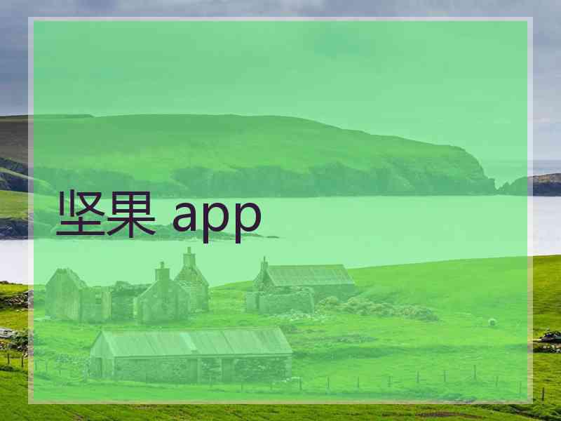 坚果 app